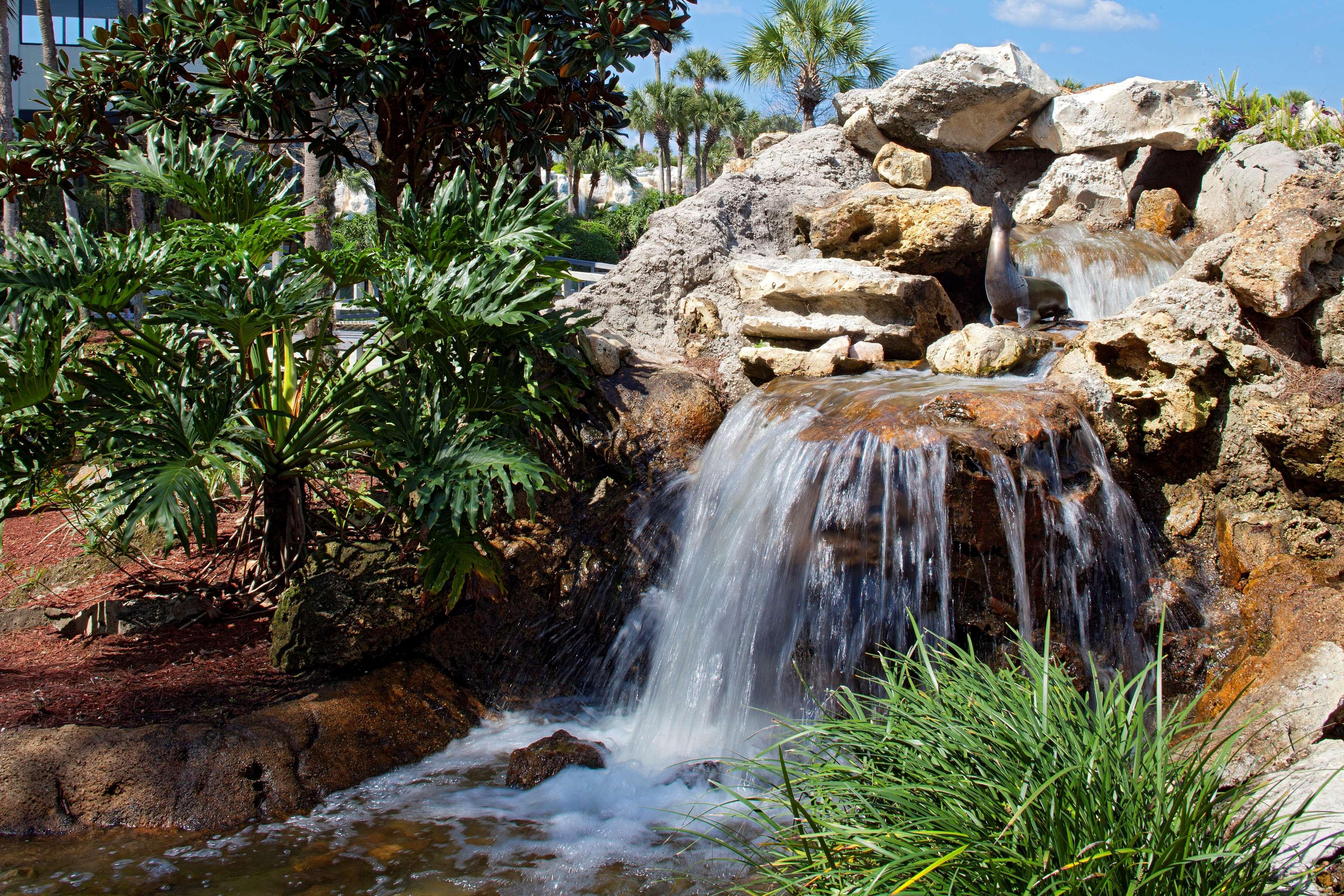 Hyatt Regency Grand Cypress Resort Orlando Exterior photo